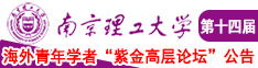 日逼a南京理工大学第十四届海外青年学者紫金论坛诚邀海内外英才！